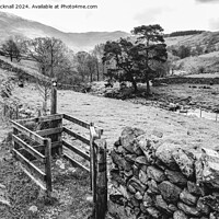 Buy canvas prints of Walking in Lake District Cumbria black and white by Pearl Bucknall