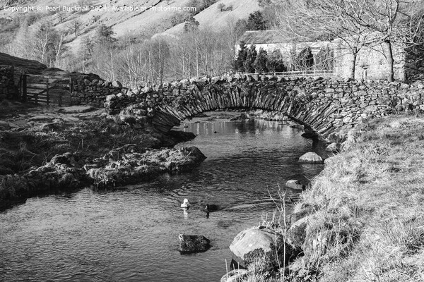 Watendlath Bridge Lake District Black and white Picture Board by Pearl Bucknall