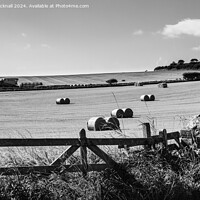 Buy canvas prints of Harvest Country Scene in the Countryside St Abbs  by Pearl Bucknall