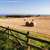 Buy canvas prints of Harvest Country Scene in the Countryside St Abbs by Pearl Bucknall