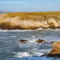 Buy canvas prints of Rocky Coast Isle of Anglesey panoramic by Pearl Bucknall