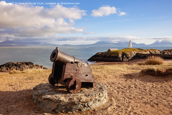 Ynys Llanddwyn Island Isle of Anglesey Picture Board by Pearl Bucknall