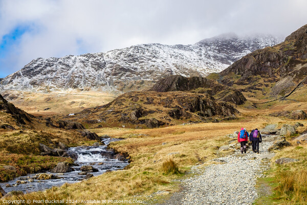 Heading for the Hills in Snowdonia Picture Board by Pearl Bucknall