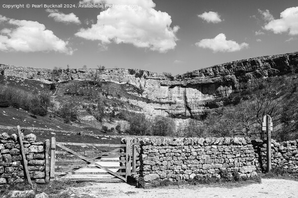 Pennine Way to Malham Cove Yorkshire Dales mono Picture Board by Pearl Bucknall