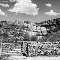 Buy canvas prints of Pennine Way to Malham Cove Yorkshire Dales mono by Pearl Bucknall