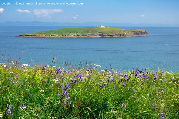 Llyn Peninsula Coast in Summer Wales Picture Board by Pearl Bucknall