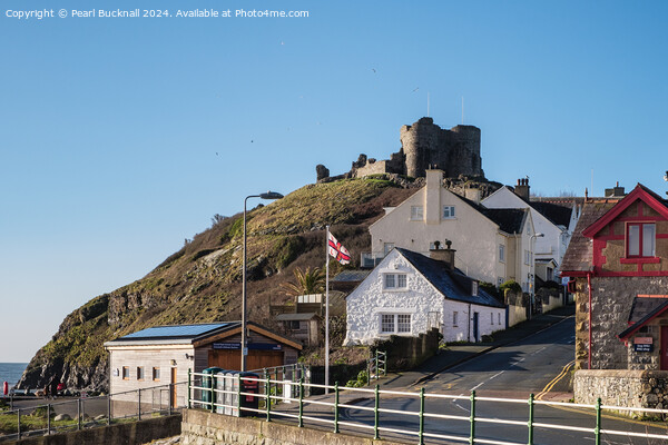 Criccieth castle Llyn Peninsula Wales Picture Board by Pearl Bucknall