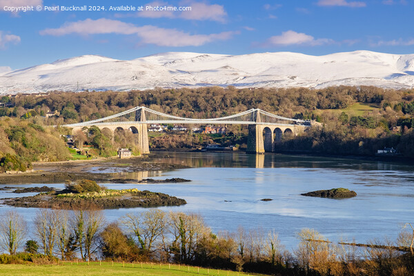 Menai Strait Mountains Anglesey Welsh Coast Picture Board by Pearl Bucknall