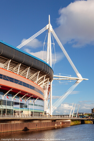Principality Stadium in Cardiff Picture Board by Pearl Bucknall