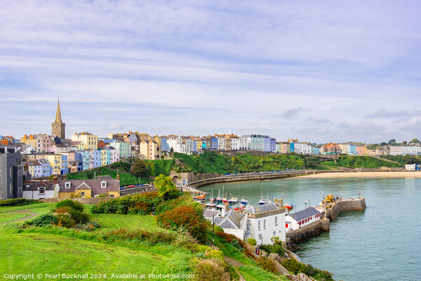 Colourful Tenby from Castle Hill Pembrokeshire Picture Board by Pearl Bucknall