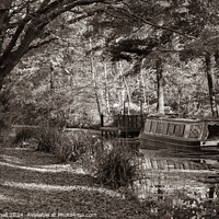 Buy canvas prints of Canal Boat on the Basingstoke Canal sepia by Pearl Bucknall