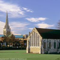 Buy canvas prints of View from Priory Park Chichester West Sussex by Pearl Bucknall