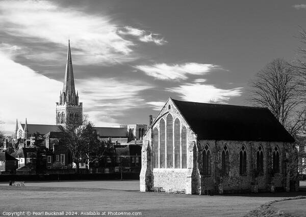 Priory Park Chichester West Sussex Black and White Picture Board by Pearl Bucknall