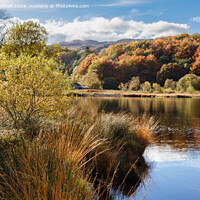 Buy canvas prints of Llyn Geirionydd lake Snowdonia Wales by Pearl Bucknall