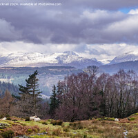 Buy canvas prints of View to Snowdonia Mountains in Winter Wales by Pearl Bucknall