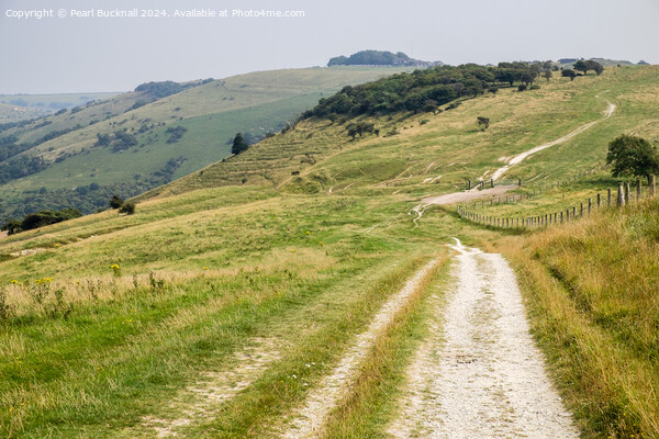 South Downs Way to Devils Dyke West Sussex Picture Board by Pearl Bucknall