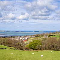 Buy canvas prints of Welsh Sheep at Llanfairfechan North Wales Coast by Pearl Bucknall