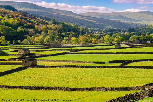 Swaledale Yorkshire Dales English Countryside Picture Board by Pearl Bucknall