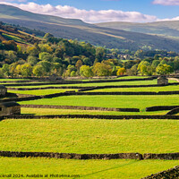 Buy canvas prints of Swaledale Yorkshire Dales English Countryside by Pearl Bucknall