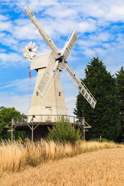 Woodchurch Windmill in Kent Countryside Picture Board by Pearl Bucknall