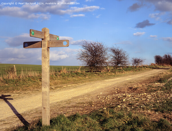 South Downs Way path in West Sussex Picture Board by Pearl Bucknall