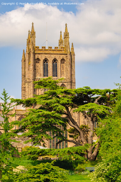 Hereford Cathedral Bell Tower Herefordshire Picture Board by Pearl Bucknall