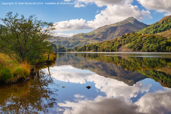 Reflections in Llyn Gwynant Lake Snowdonia Picture Board by Pearl Bucknall