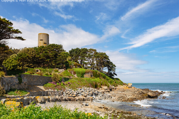 Fort Saumarez on Guernsey Coast Picture Board by Pearl Bucknall