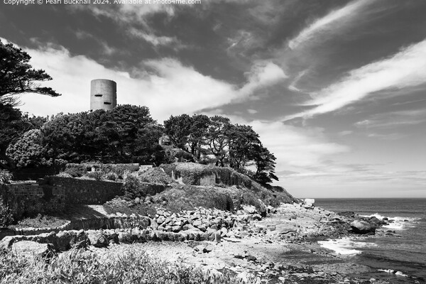 Fort Saumarez on Guernsey Coast mono Picture Board by Pearl Bucknall