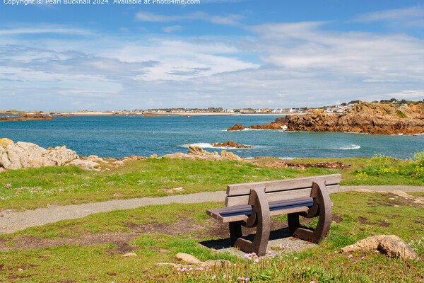 Bench with a Coastal View Guernsey Picture Board by Pearl Bucknall