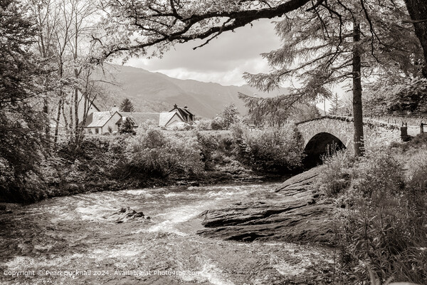 Old Bridge of Coe Glencoe Scotland in Sepia Picture Board by Pearl Bucknall