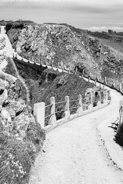 Le Coupee on Sark, Channel Islands Black and White Picture Board by Pearl Bucknall