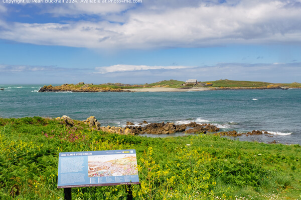 Guernsey Coastline Landscape Channel Islands Picture Board by Pearl Bucknall