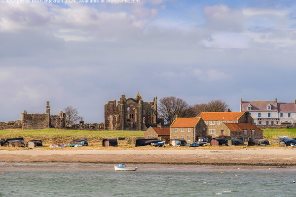 Lindisfarne Priory Holy Island Northumberland Picture Board by Pearl Bucknall
