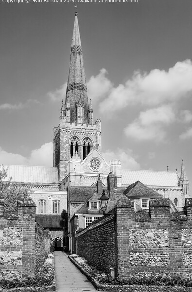 Chichester Cathedral West Sussex Mono Picture Board by Pearl Bucknall