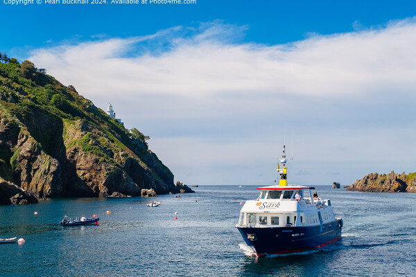 Sark Ferry Coming into Maseline Harbour Picture Board by Pearl Bucknall