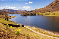 Click to show how this picture will look as a piece of wall art