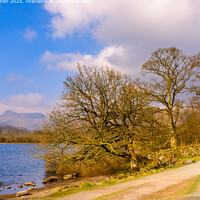 Walking by Elterwater in Lake District Landscape