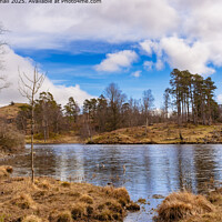Tarn Hows Lake District Cumbria Landscape