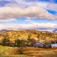Tarn Hows and Lake District Fells Landscape