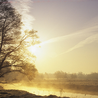 Buy canvas prints of River Wey Misty Morning at Thundry Meadows by Pearl Bucknall