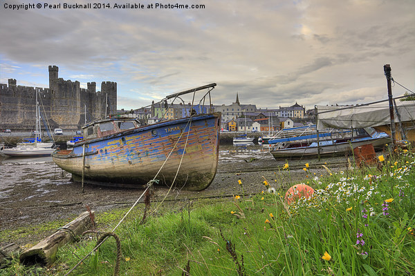 Old Boats in Caernarfon Picture Board by Pearl Bucknall