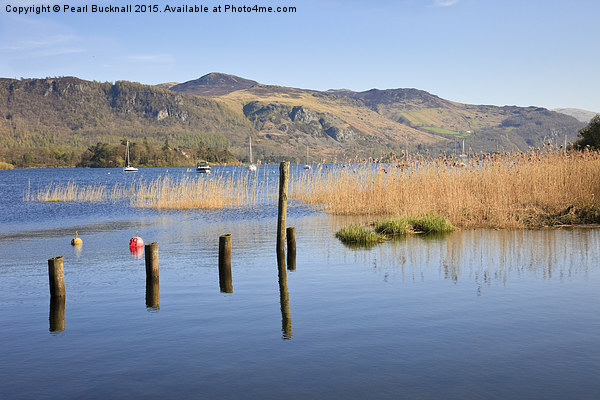Derwentwater in Lake District UK Picture Board by Pearl Bucknall