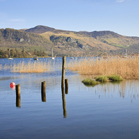 Buy canvas prints of Derwentwater in Lake District UK by Pearl Bucknall