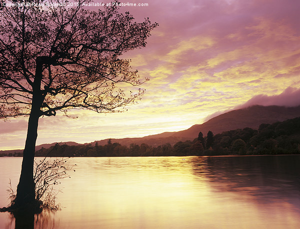 Coniston Water at Sunset Picture Board by Pearl Bucknall