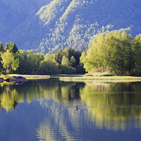 Buy canvas prints of Tranquil Water in Lake Haukeland Norway by Pearl Bucknall