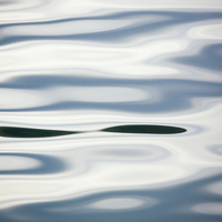 Buy canvas prints of Water Surface Pattern by Pearl Bucknall
