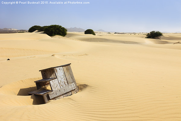 Desert Sands Picture Board by Pearl Bucknall