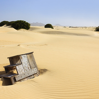 Buy canvas prints of Desert Sands by Pearl Bucknall