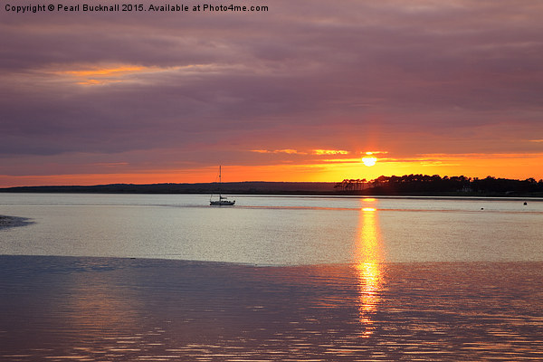 Menai Strait Sunset Picture Board by Pearl Bucknall